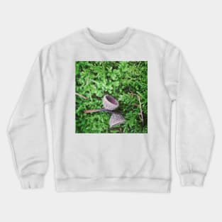 Acorn cups on a bed of moss Crewneck Sweatshirt